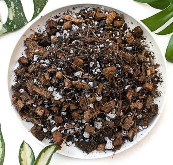 Tropical Soil for Aroids - Monstera, Philodendron, Hoya, Ficus