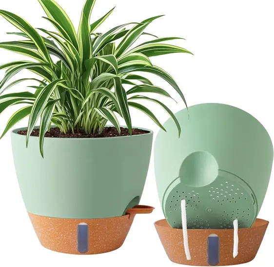 self watering pot with drainage system for spider plants