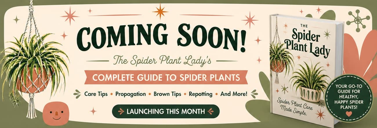 the-spider-plant-lady-ebook-banner